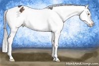 Horse Color:White Spotted Silver Brown Snowflake Varnish 