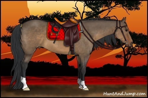 Horse Color:Brown Dun