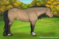 Horse Color:Buckskin Dun Sabino 
