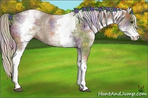 Horse Color:Nacre White Spotted Chocolate Palomino 