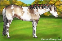 Horse Color:White Spotted Liver Red Onyx 