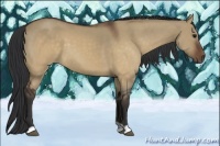 Horse Color:Brown Dun