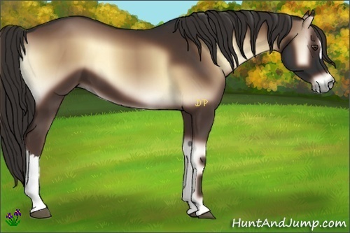 Horse Color:Liver Red Onyx 