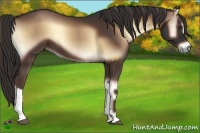 Horse Color:Liver Red Onyx