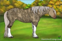Horse Color:Silver Bay Ice Dun Tobiano Rabicano