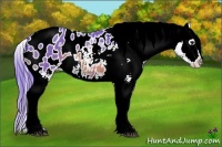 Horse Color:Watercolor Bay Roan Tobiano Blanket 