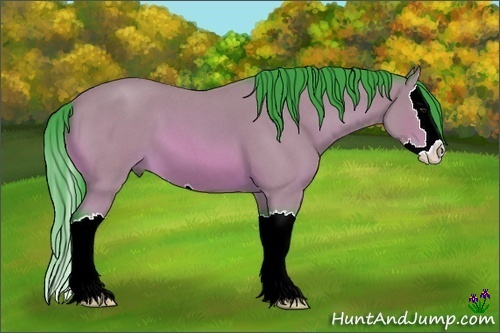 Horse Color:Watercolor Bay Roan Splash 