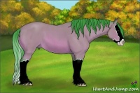 Horse Color:Watercolor Bay Roan Splash 