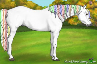 Horse Color:Gray Painted Red Roan 