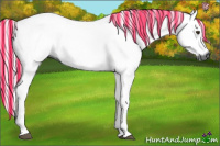 Horse Color:Gray Painted Chestnut 