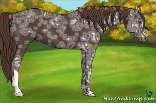 Horse Color:Liver Chestnut Ice 