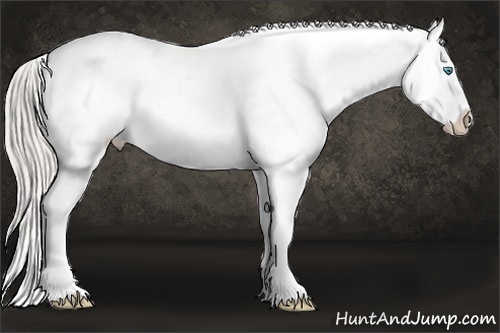 Horse Color:Chocolate Palomino Pearl Sabino Snowflake Varnish