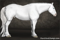 Horse Color:Chocolate Palomino Pearl Sabino Appaloosa