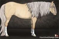 Horse Color:Silver Amber Champagne Roan Dun Frame Rabicano