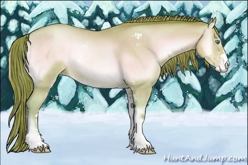 Horse Color:Watercolor Buckskin Pearl Onyx Sabino 