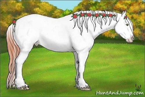 Horse Color:White Spotted Amber Champagne Dun Frame Blanket 