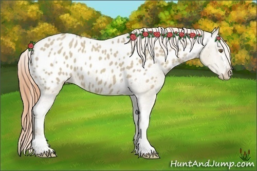 Horse Color:White Spotted Classic Cream Champagne Dun Sabino Appaloosa 