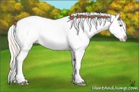 Horse Color:Palomino Roan Dun Frame Appaloosa