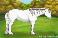 Horse Color:Silver Classic Champagne Dun Splash Tobiano 