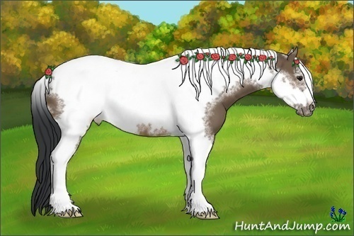 Horse Color:Brown Dun Tobiano Frame 