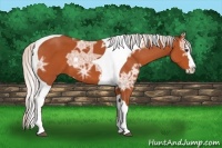 Horse Color:Silver Bay Ice Sabino Splash Tobiano 