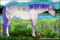 Horse Color:Watercolor Plaid  Bay Ice 