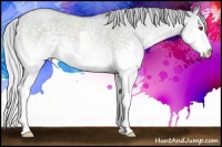 Horse Color:White Spotted Silver Classic Cream Champagne Chinchilla Dun Splash 