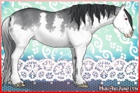 Horse Color:White Spotted Black Chinchilla Splash Rabicano 