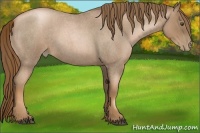Horse Color:Liver Red Roan Pearl 
