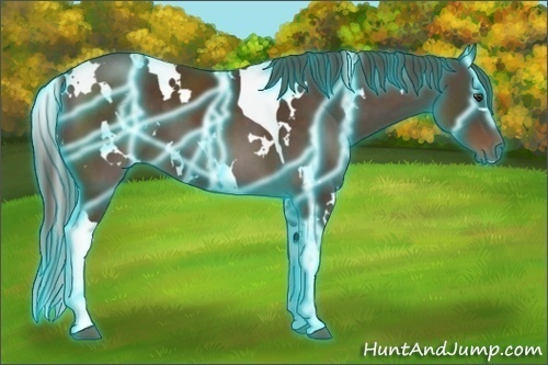 Horse Color:Thunderstruck White Spotted Liver Chestnut Tobiano 