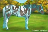 Horse Color:Thunderstruck White Spotted Liver Chestnut Tobiano