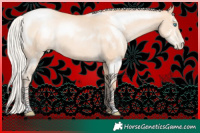 Horse Color:Silver Amber Champagne Pearl 