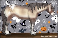 Horse Color:Bay Onyx Blanket 