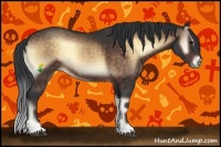 Horse Color:Bay Onyx 