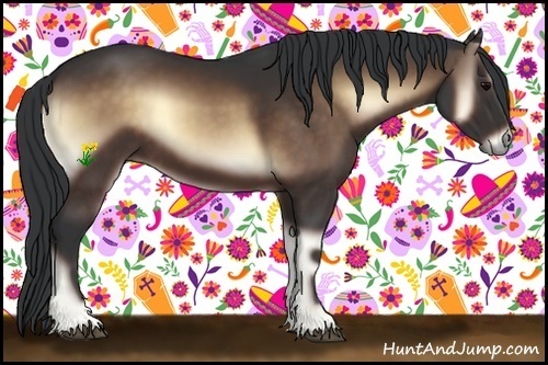 Horse Color:Bay Onyx 
