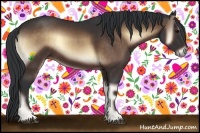 Horse Color:Bay Onyx 