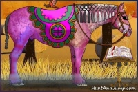 Horse Color:White Spotted Black Appaloosa Rabicano  and White Spotted Brown Dun 