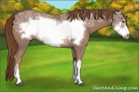 Horse Color:Chestnut Ice Frame 