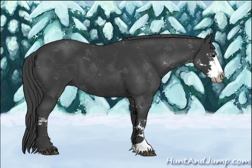 Horse Color:Smoky Black Sabino