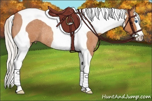 Horse Color:Silver Bay Roan Splash Tobiano Rabicano 