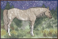 Horse Color:Silver Grullo Ice 