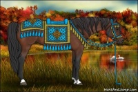 Horse Color:Bay Rabicano