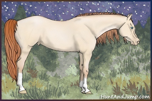 Horse Color:Buckskin Pearl Dun 