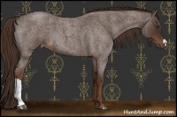 Horse Color:Liver Red Roan 