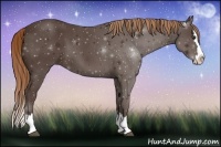 Horse Color:Liver Chestnut Sabino Splash