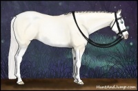 Horse Color:Silver Classic Cream Champagne Pearl Dun Splash 