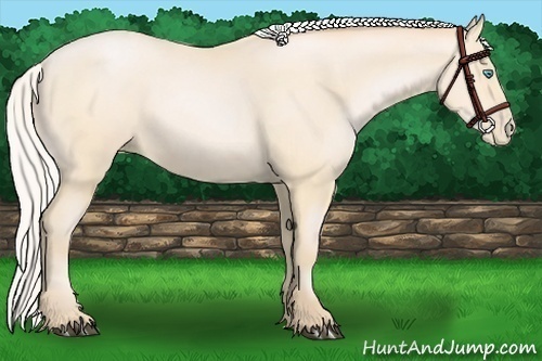 Horse Color:Silver Buckskin Pearl 