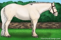 Horse Color:Silver Buckskin Pearl 