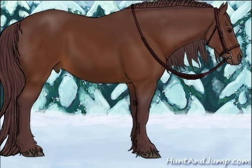 Horse Color:Chocolate Brown 