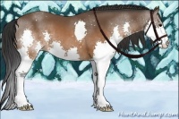 Horse Color:Brown Splash 